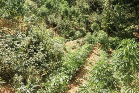 Schwerer Schlag für Drogenhändler in Bingöl