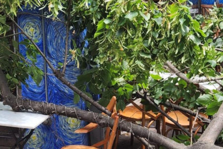 Starker Wind hat in Beyoğlu einen Baum umgeworfen: Der Rand einer Katastrophe wurde vermieden
