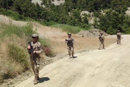 Türkische Soldaten patrouillieren gegen Waldbrände