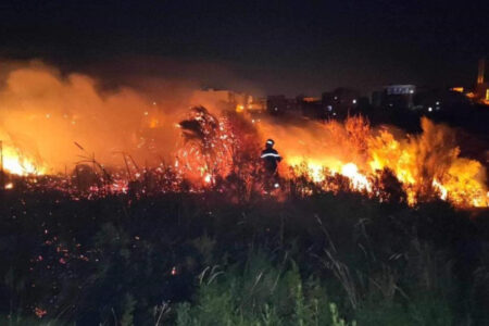 Waldbrände forderten in Algerien 15 Todesopfer