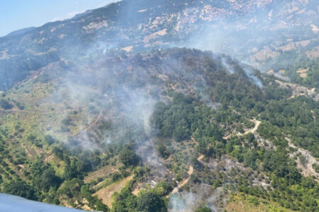 Waldbrand in Balıkesir!  Es wurde innerhalb von 10 Minuten interveniert…