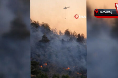 Waldbrand in Kahramanmaraş: Am Morgen wurde er unter Kontrolle gebracht