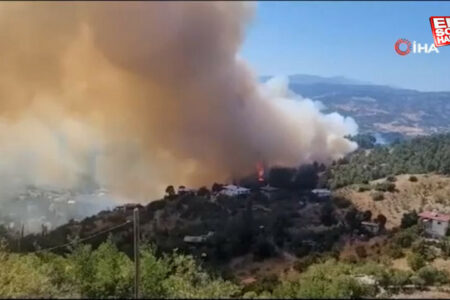 Waldbrand in Kahramanmaraş breitete sich auf Wohnhäuser aus