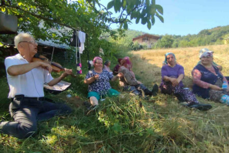 Weizenernte mit Violinkonzert in Bartın