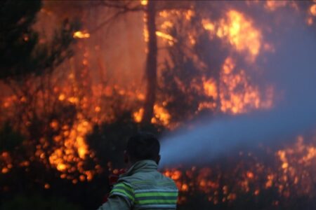 Die weltweit größte Anstrengung im Jahr 2023: Waldbrände
