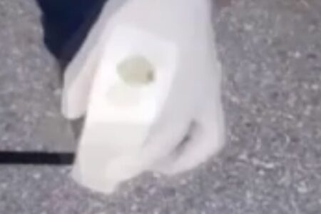 Drogen in Shampoo-Box in Düzce gefunden