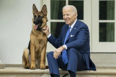 ABD Başkanı Biden’ın köpeği Commander, 24 Gizli Servis personelini ısırdı