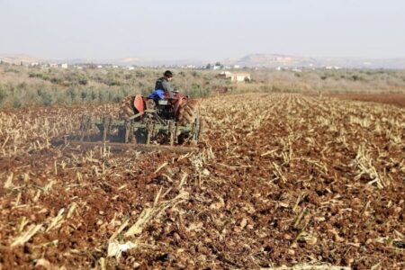 Heute erfolgt die Zahlung der landwirtschaftlichen Unterstützung an die Landwirte