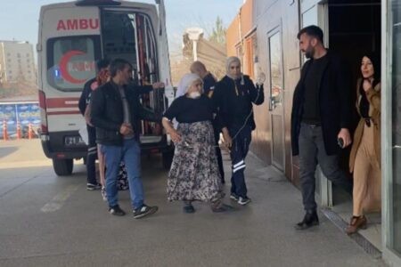 Hundeangriff auf eine alte Frau in Diyarbakır!  Er wurde am Kiefer verletzt