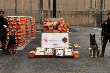 Im Istanbuler Hafen Ambarlı wurden Drogen im Wert von 36 Millionen Lira beschlagnahmt