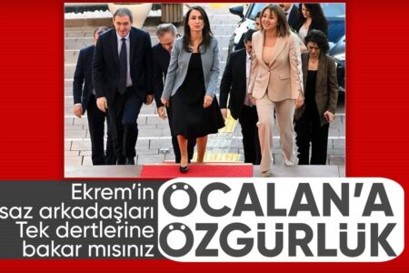 Mitglieder der DEM-Partei forderten erneut die Freiheit für Öcalan