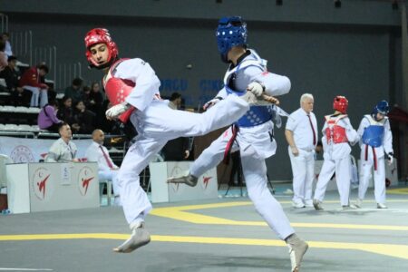 Türkische Athleten gewannen 24 Medaillen im Taekwondo