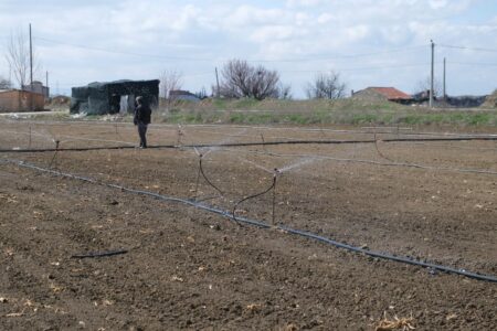 Aufgrund des trockensten Winters begannen die Landwirte in Eskişehir zwei Monate im Voraus mit der Bewässerung ihrer Felder