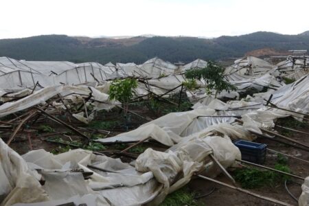 Der Tornado beschädigte mehr als 250 Hektar Gewächshäuser in Alanya