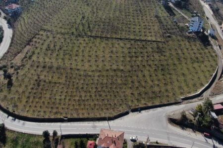Die Produzenten in Trabzon sind unruhig: Die Lufttemperaturen könnten den Haselnussertrag verringern
