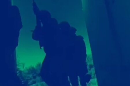Drei verschiedene organisierte Terrororganisationen wurden bei Operationen in sieben Provinzen zerstört.