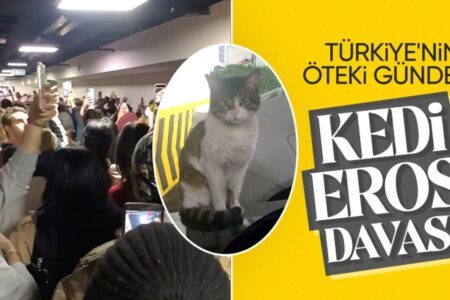Eine Katze namens Eros wurde in Istanbul getötet: İbrahim Keloglan steht vor dem Richter!  Tierliebhaber strömten herbei