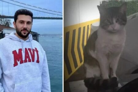 İbrahim Keloglan, der die Katze Eros getötet hat, wurde freigelassen