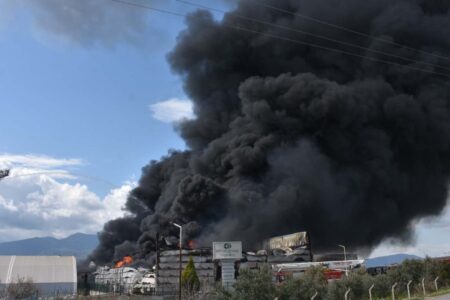 Im Kühlhaus eines Unternehmens in Izmir gingen Flammen auf