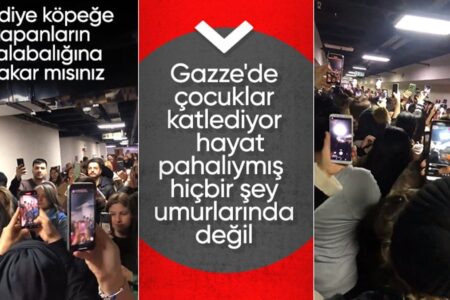 Menschenmenge im Katzentötungsfall!  Mir kommt ein Zustand der Gleichgültigkeit gegenüber dem Massaker in Gaza in den Sinn