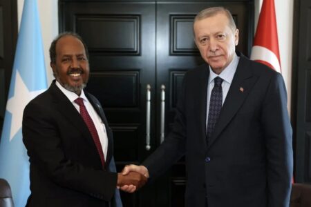 Präsident Erdoğan traf sich mit dem somalischen Präsidenten Hasan Pir Mahmud