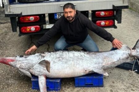 Sie haben in Adana einen riesigen Schwertfisch gefangen: Er wurde für 30.000 TL verkauft