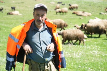 Die Züchter in Muş finden trotz eines Gehalts von 40.000 Lira keine Hirten
