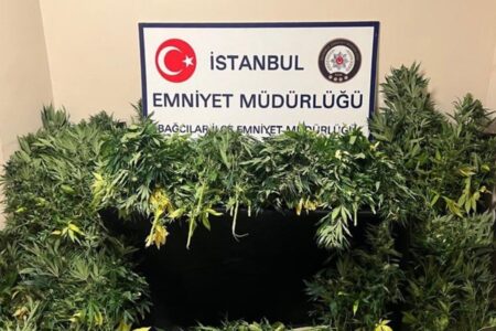 Drogenrazzia in Villa in Istanbul!  Sie haben daraus ein Gewächshaus gemacht