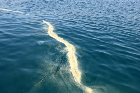 Gelbe Ablagerungen im Meer in Antalya wurden untersucht: Es wurde festgestellt, dass sie nicht gefährlich seien