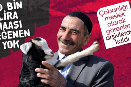 In Erzincan gibt es keinen Hirten mit einem Gehalt von 40.000 TL: Die Dorfbewohner wechseln sich ab