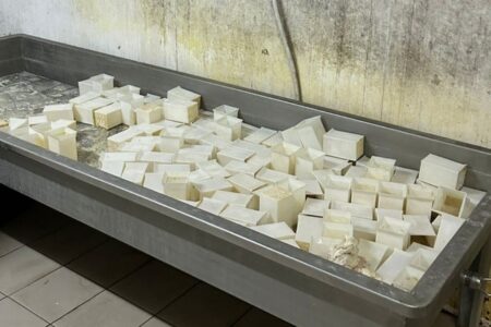 In Izmir wurden etwa 20 Tonnen abgelaufener Käse beschlagnahmt