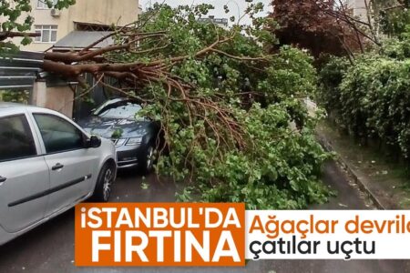 Starker Regen und Sturm wirken sich in Istanbul aus: Bäume stürzten um
