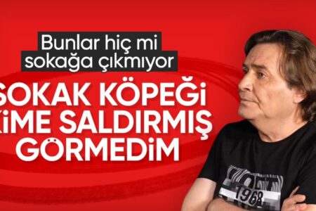 Armağan Çağlayan ignorierte Straßenhundeüberfälle