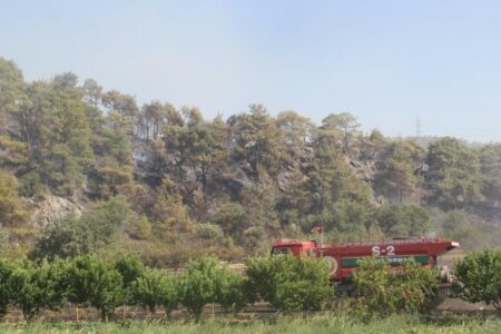 Das Betreten der Wälder ist in Çanakkale verboten