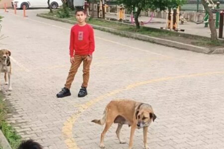 Die Oberstufenschülerin Talha erhielt eine Auszeichnung für ihr Projekt „Schuhe, die Hunde entführen“.