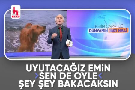 Emin Çapa konnte seine Verzweiflung nicht kontrollieren, als er in einer Live-Übertragung streunende Tiere verteidigte