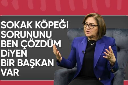 Fatma Şahin erklärte, wie das Streunerhundeproblem in Gaziantep gelöst wurde