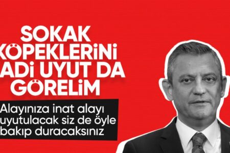 Özgür Özel: Lasst uns die streunenden Hunde einschläfern und nachsehen
