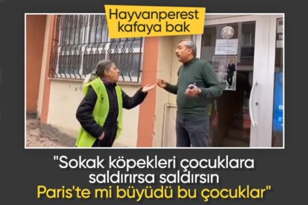 Sie blieben vor der Tür des Häuptlings stehen, der in Sivas streunende Hunde einsammelte.