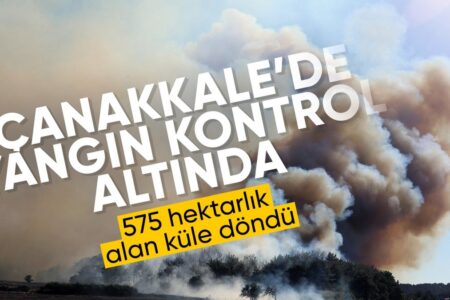 Der Brand in Çanakkale wurde unter Kontrolle gebracht