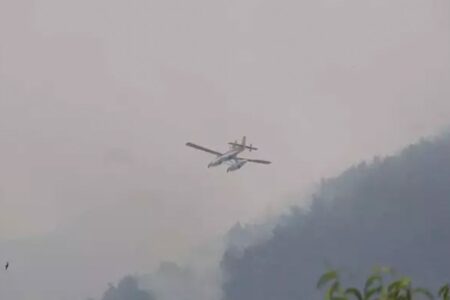 Der Waldbrand in Denizli ist unter Kontrolle