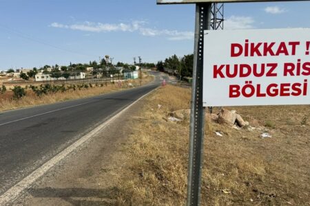 Erklärung des Gouverneurs von Ankara zu den Vorwürfen, dass kranke Hunde in die Stadt gebracht wurden