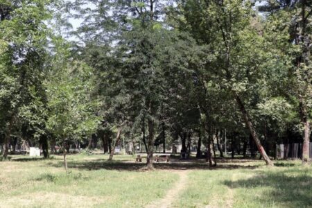 In Edirne ist der Zutritt zu Waldgebieten eingeschränkt