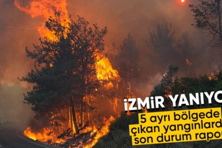Minister İbrahim Yumaklı gab die aktuelle Situation zum Waldbrand in Izmir bekannt