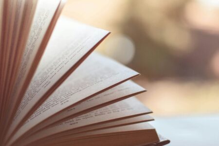 Montag, 3. Juni 2024: Auswahl neuer Bücher in den Regalen