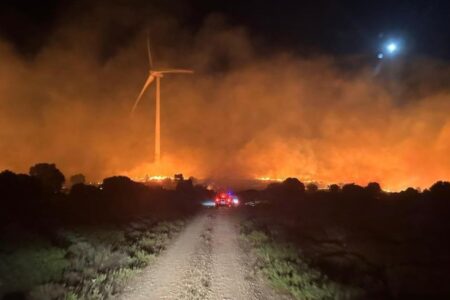 Waldbrände haben im Juni im Vergleich zum Vorjahr um das Fünffache zugenommen