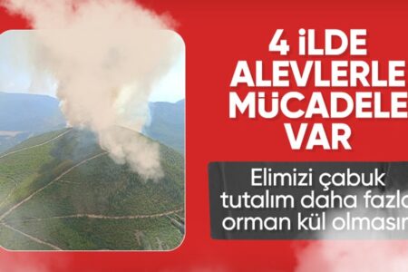 Brandbekämpfung in 4 Provinzen der Türkei