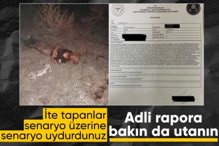 Der Krankenhausbericht der Person, die bei dem Angriff streunender Hunde in Fatih ums Leben kam, wurde veröffentlicht