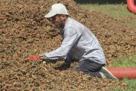 Die harte Arbeit der Schlittschuhmacher hat in Ordu begonnen: 3 Tausend 500 TL pro Stunde
