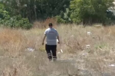 Er starb durch einen Angriff streunender Hunde in Fatih: Die Gemeinde begann, die Hunde einzusammeln